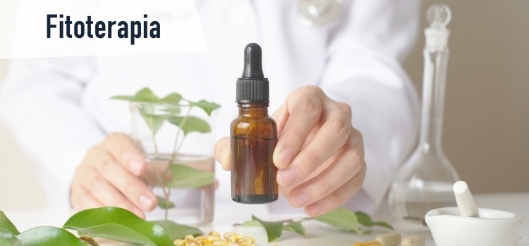 Fitoterapia clínica: plantas medicinales con evidencia en enfermedades crónicas